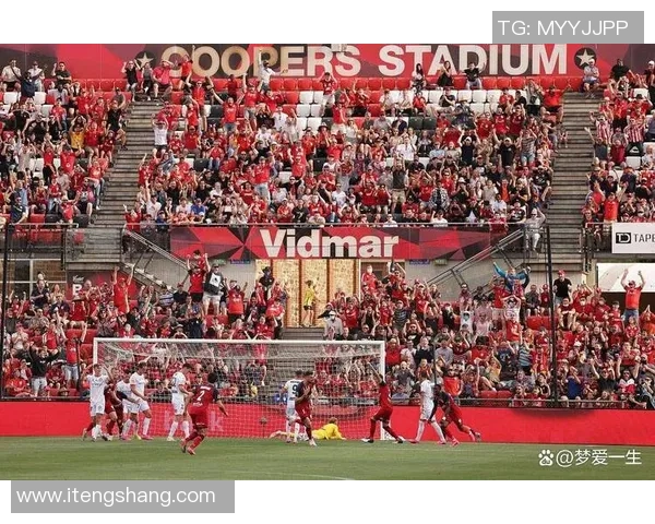 曼联与狼队激情对决贴吧热议赛前分析与球迷期待