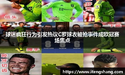 伟德bv国际体育